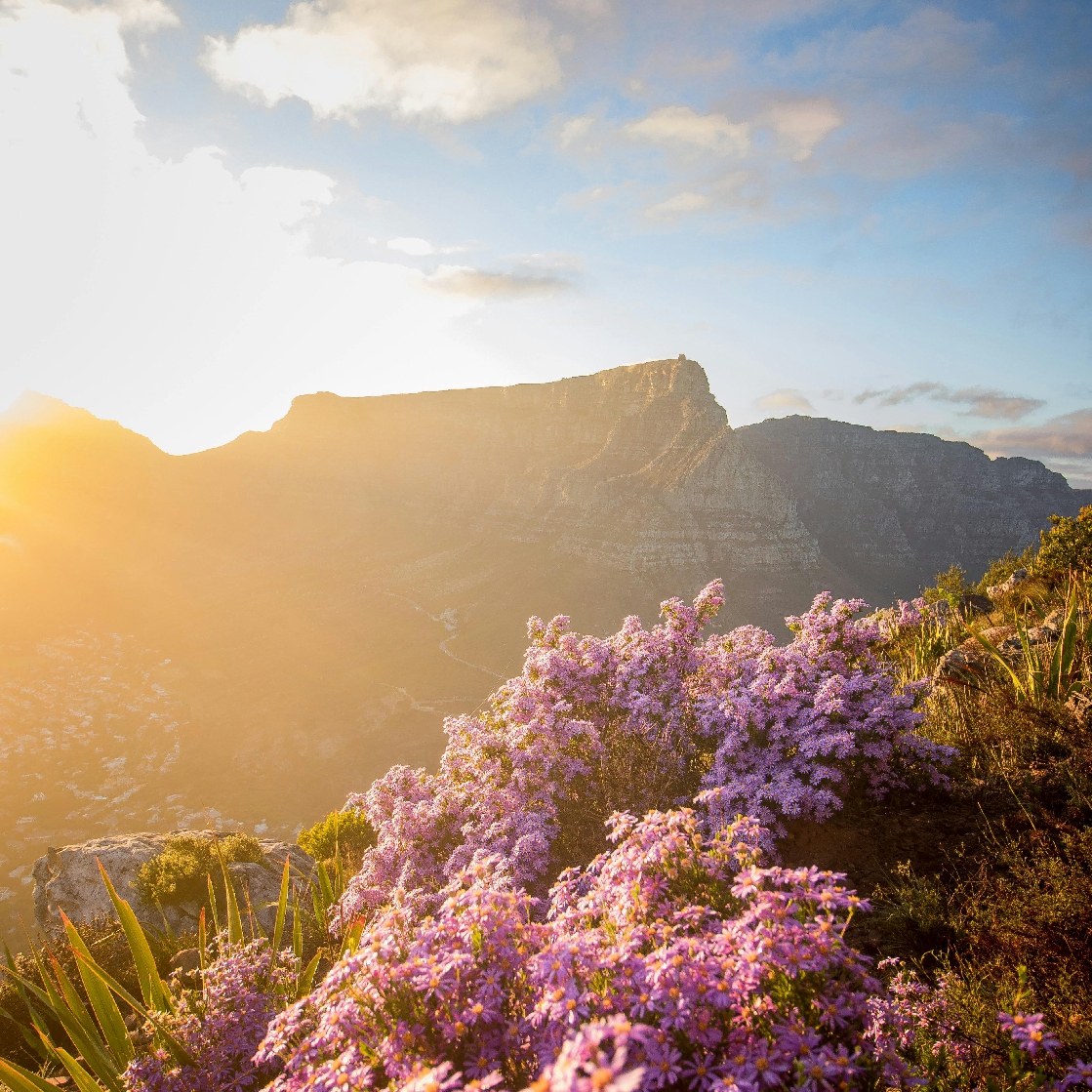 South Africa 13